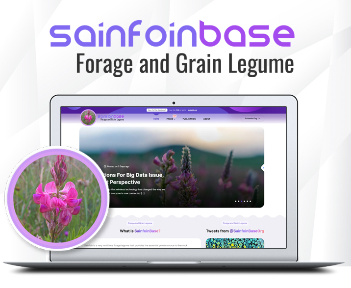 Sainfoinbase | Forage and Grain Legume